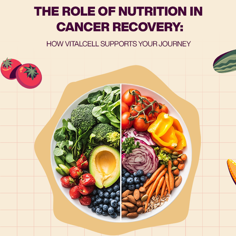 The Role of Nutrition in Cancer Recovery: How VitalCell Supports Your Journey